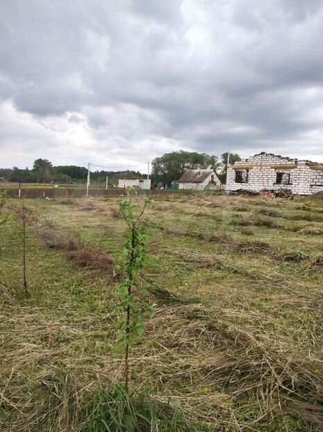 Участок 17 сот. (ИЖС)