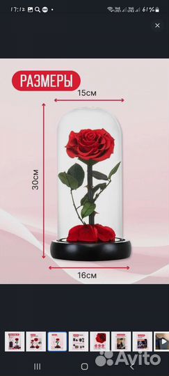 Стабилизированная Вечная роза в колбе