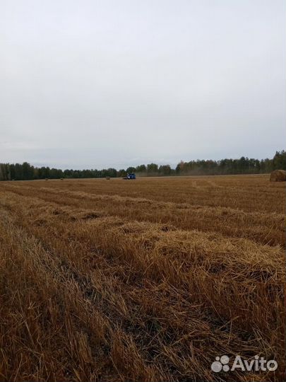 Фермерское хозяйство спк