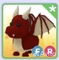 Dragon FR adopt me full grown
