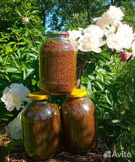 Лист Дикой Яблони ферментированный