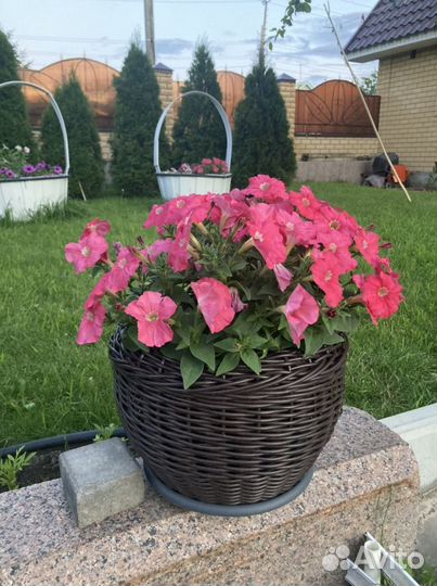 Кашпо для цветов из ротанга