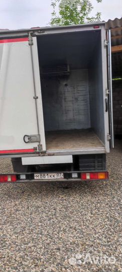 Домашние бройлеры тушки