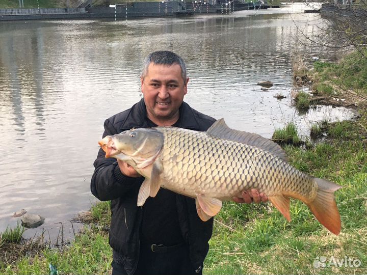 Готовый бизнес на Wildberries и Ozon