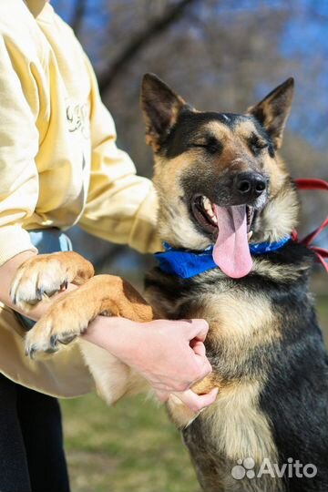 Мододой мальчик Лукум