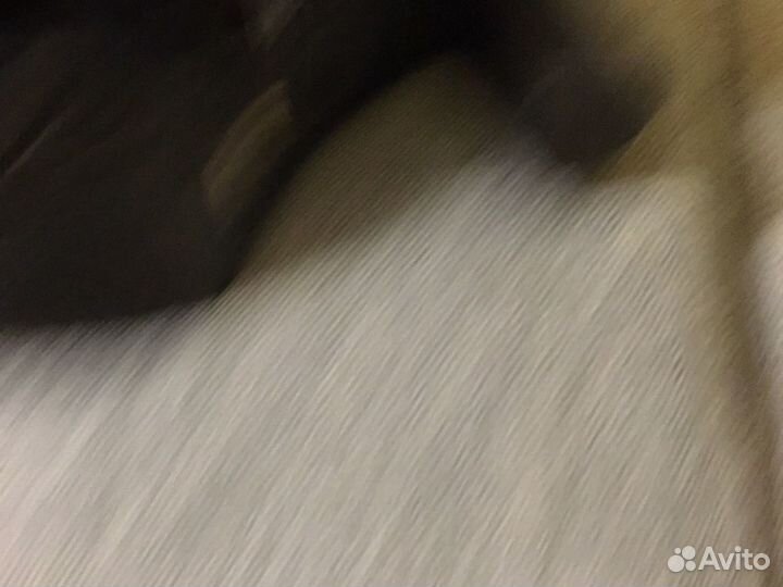 Сапоги loriblu