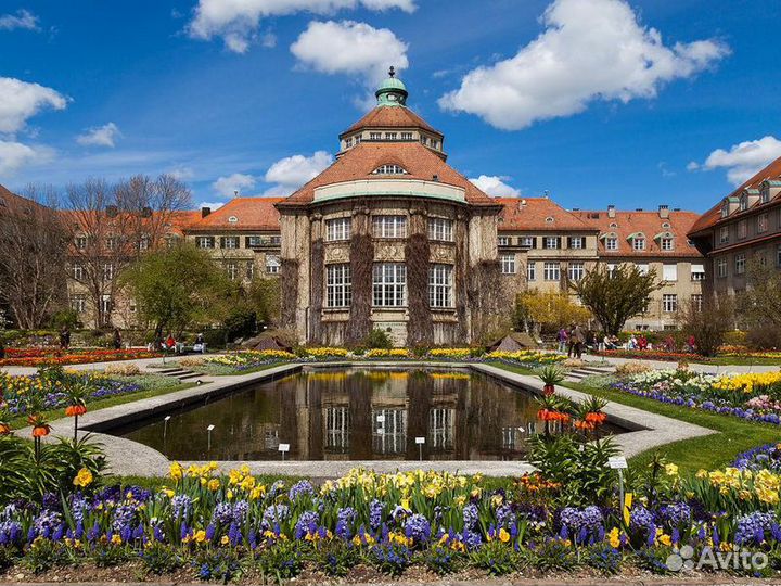 Экскурсия — Мюнхен — Ежедневная Прогулка По Мюнхен