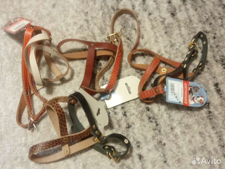 Амуниция для собак