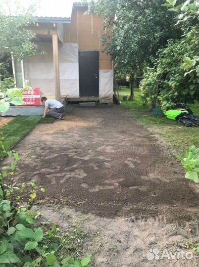 Рулонный газон 