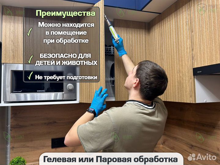 Уничтожение тараканов, клопов сэс в Борисоглебске