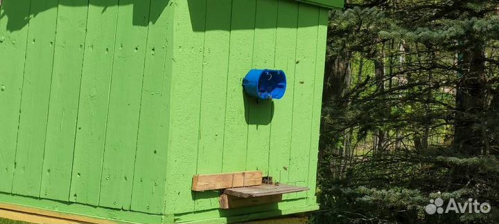 Продаются пчелы. Пчелиные семьи. Улья Пчелы и улья