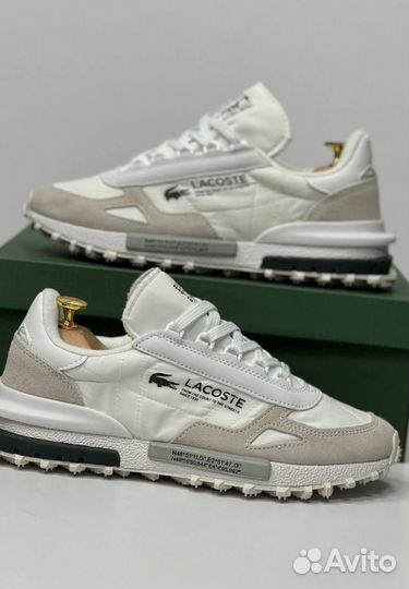 Кроссовки Lacoste люкс