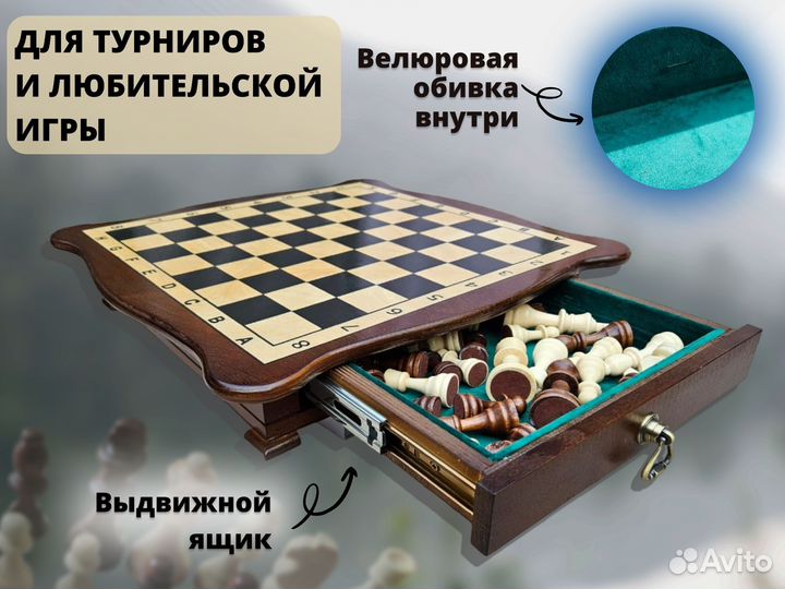 Шахматы шашки