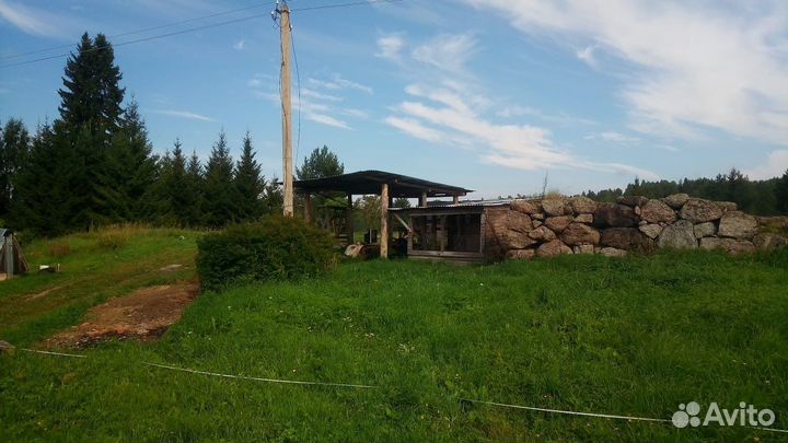 Камни пригородные для ландшафта