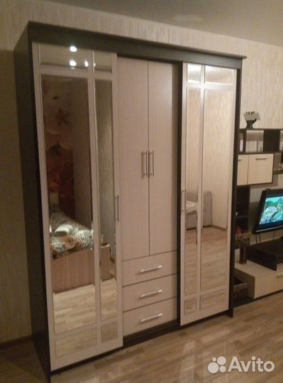 Шкаф купе Маэстро