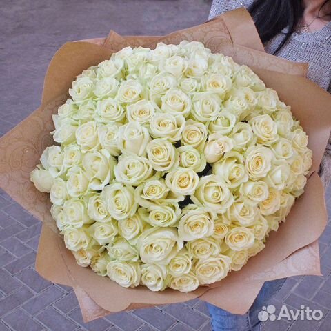 101 белая роза