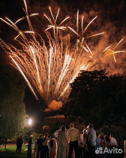 Салюты и Фейерверки на корпоратив/свадьбу