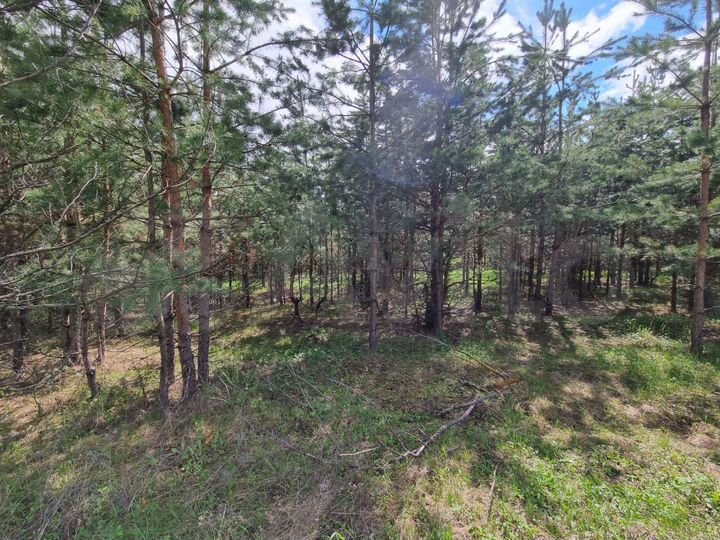 Участок 12 сот. (ИЖС)