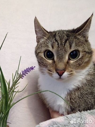 Девочка ищет семью