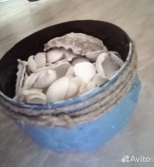 Ракушка мелкая