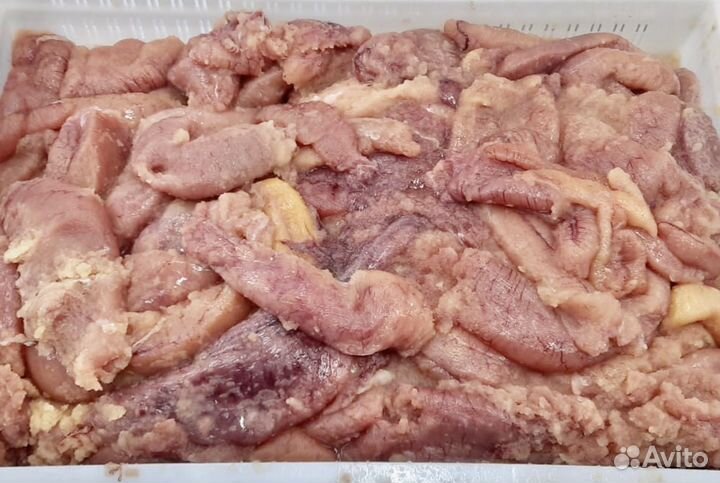 Икра судака