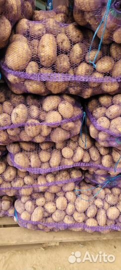 Картофель фермерский