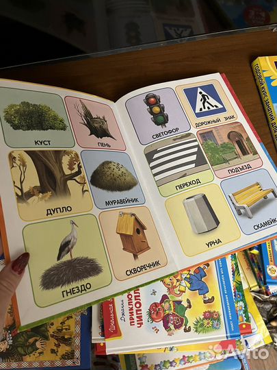 Годовой курс занятий 2,3 - 3,4