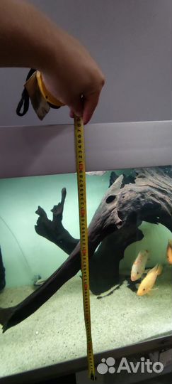 Аквариум Биодизайн Атолл 400