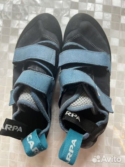 Скальные туфли scarpa origin