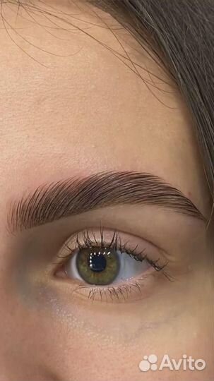 Обучение бровист 