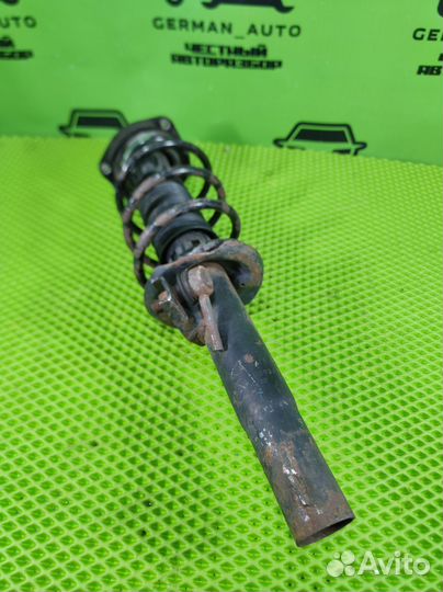 Амортизатор передняя стойка Skoda Octavia II (A5)