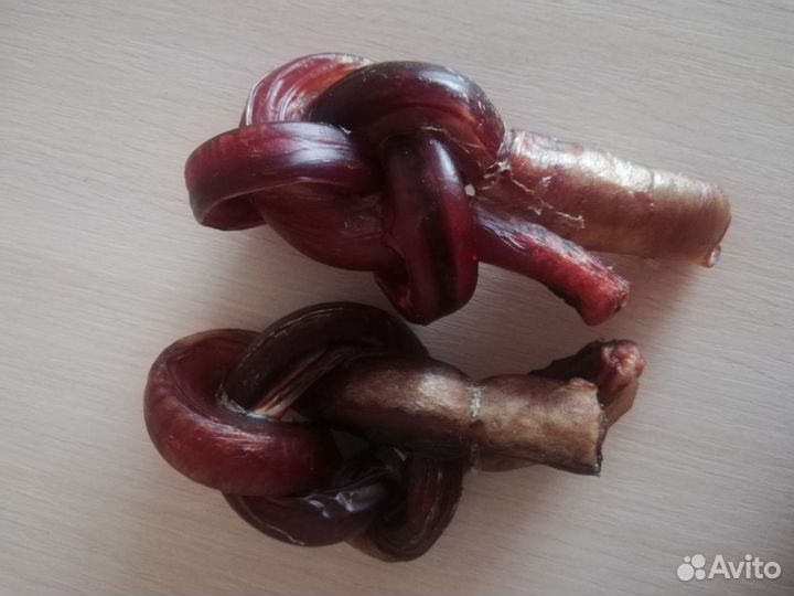 Бычий корень для собак