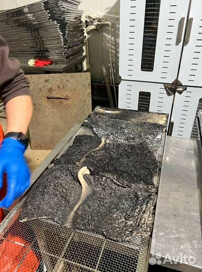 Натуральные лакомства для собак