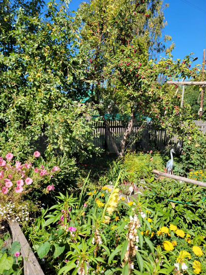 Дом 73 м² на участке 21 сот.