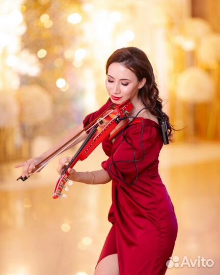 Скрипачка, музыкант, живая музыка, артист