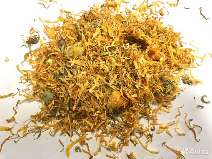 Календула цвет