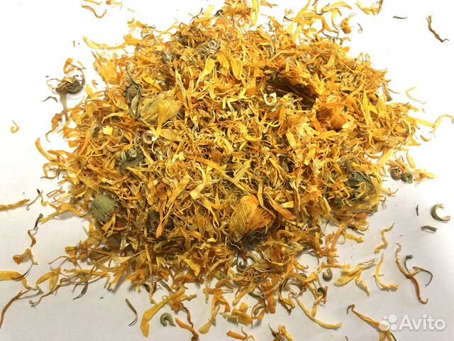 Календула цвет