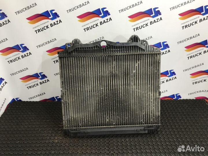 Интеркулер Man TGA, Man TGX