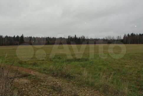 Участок 4,1 га (ИЖС)