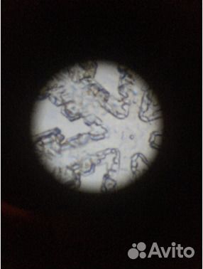 Микроскоп школьный, детский новый 1200х в коробке