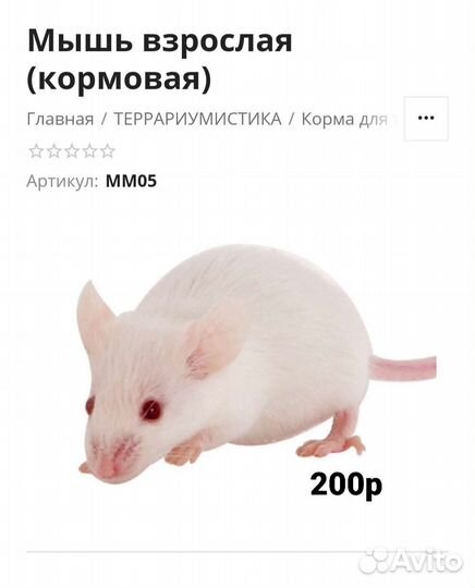 Кормовые насекомые