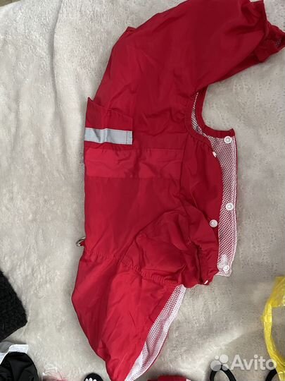 Одежда для собак мелких пород