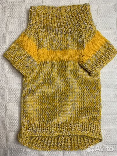 Одежда для животных