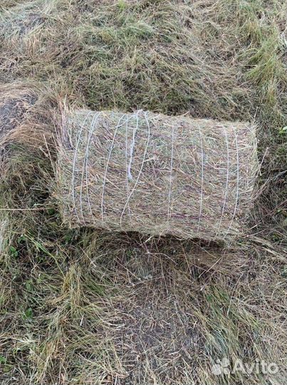 Сено в тюках