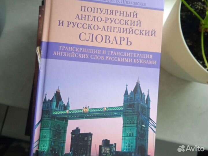 Англо русский словарь и русско англ
