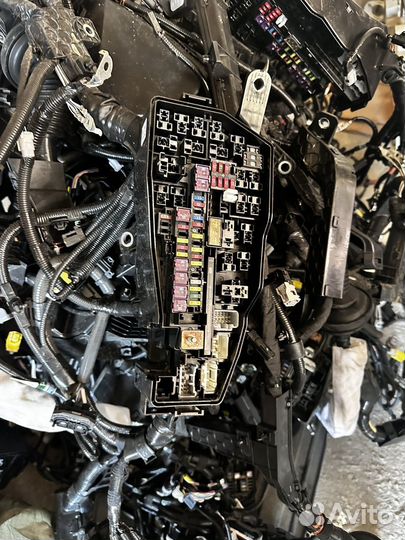 Подкапотная проводка Toyota camry v70