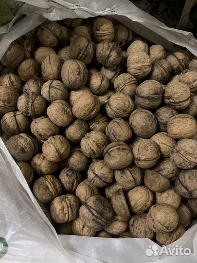 Продам грецкий орех, есть 20 кг, 50руб за кг