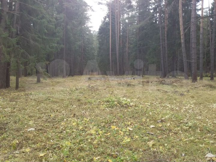 Участок 33 сот. (СНТ, ДНП)