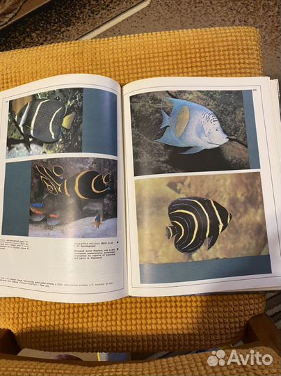 Мир тропических рыб