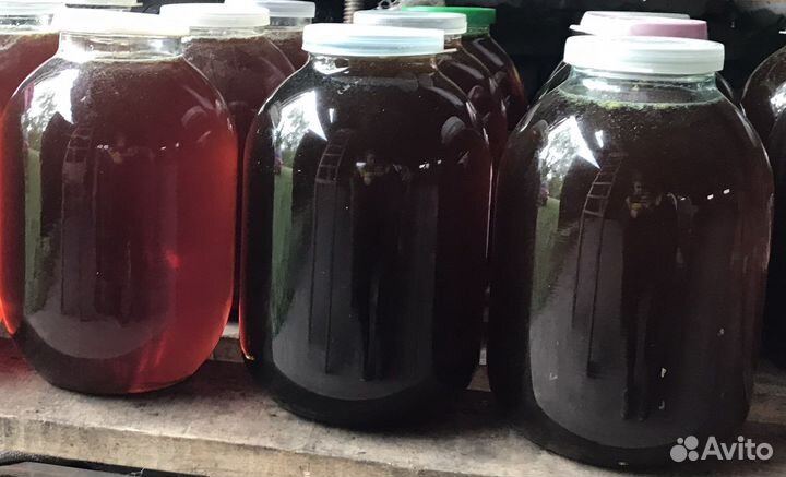 Мед греча с разнотравьем.Мед оптом,розница